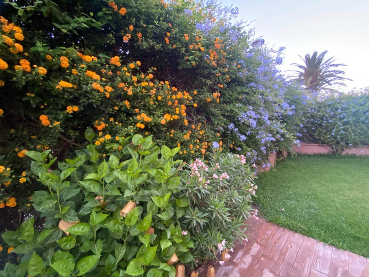 Apartamento Jardin Sanlucar Sanlúcar de Barrameda Exteriér fotografie